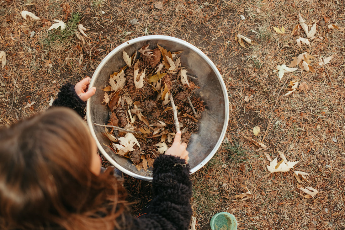 The Autumn Nature Tray: A Montessori Way to Bring Fall Indoors